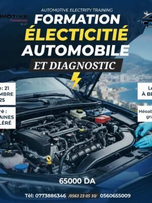 WhatsApp Image 2025-12-07 à 23.22.44_e7ec2ec9 FORMATION/ ELECTRICITE AUTOMOBILE ET SCANNER/ MECANIQUE AUTOMOBILE